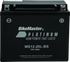 BikeMaster AGM Battery - MS12-20L-BS - Striker Modified
