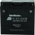 BikeMaster AGM Battery - MS51913 - Striker Modified