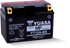 Yuasa YT12A-BS Maintenance Free AGM 12 Volt Battery (Bottle Supplied) - Striker Modified