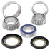 All Balls Racing 16-22 Indian SCOUT SIXTY Steering Bearing Kit - Striker Modified