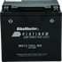 BikeMaster AGM Battery - MS12-19CL-BS - Striker Modified
