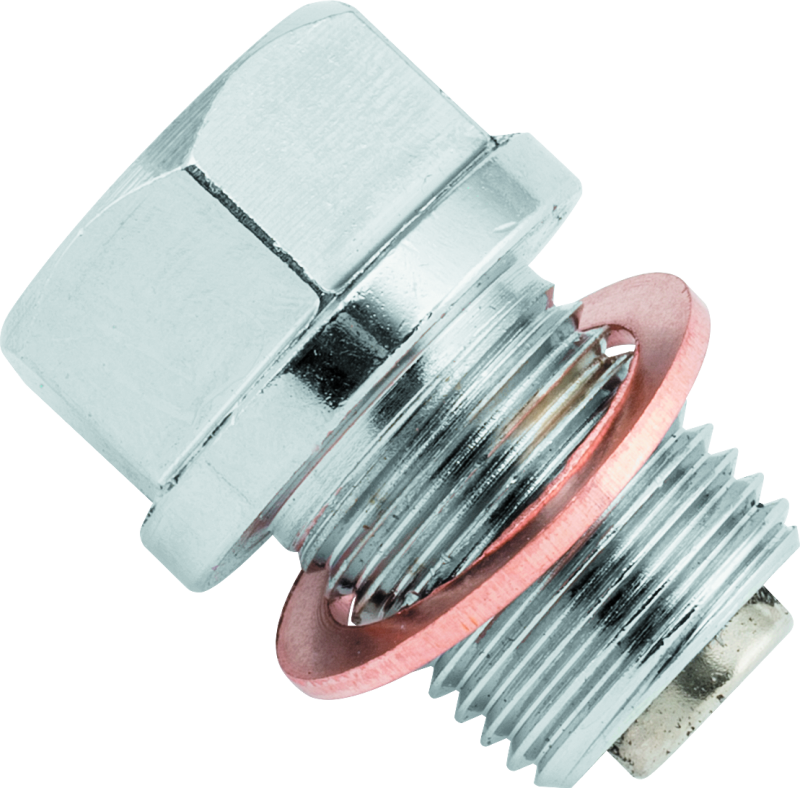 BikeMaster Magnetic Oil Drain Plug 14mm - Stainless - Striker Modified