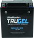 BikeMaster Trugel Battery MG20CH-BS - Striker Modified
