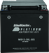 BikeMaster AGM Battery - MS12-30L-BS - Striker Modified