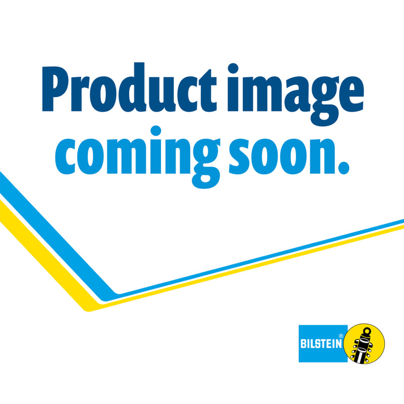 Bilstein B6 99-04/06-13 Ford F53 Steering Damper - Striker Modified