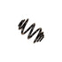 Bilstein B3 98-06 BMW 3 Series Replacement Rear Coil Spring - Striker Modified