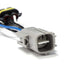 AlphaRex 2021 Toyota 4Runner Projector Headlights Converters - Striker Modified