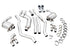 AWE Tuning 2019+ BMW M340i (G20) Non-Resonated Touring Edition Exhaust - Quad Chrome Silver Tips - Striker Modified