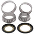 All Balls Racing 14-16 Honda NSS300 Steering Bearing Kit - Striker Modified