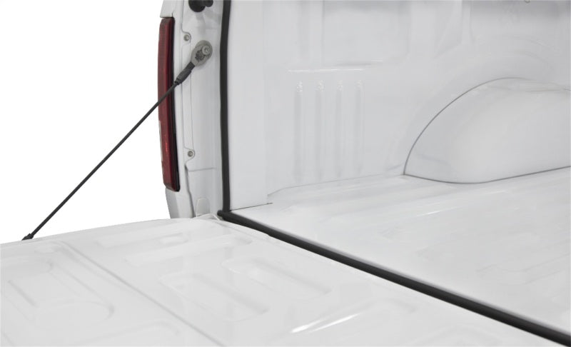 Access Accessories TRAILSEAL Tailgate Gasket 1 Kit Fits All Pickups - Striker Modified