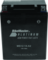 BikeMaster AGM Battery - MS12-14-A2 - Striker Modified