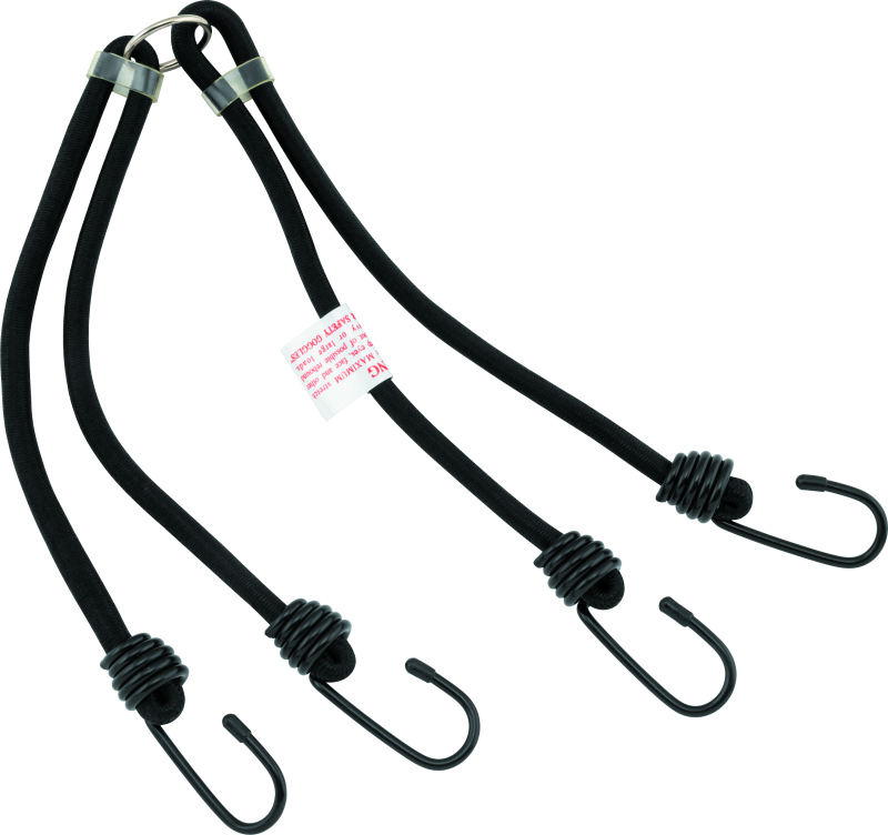 BikeMaster 24in Heavy Duty 4-Hook Bungee - Black - Striker Modified