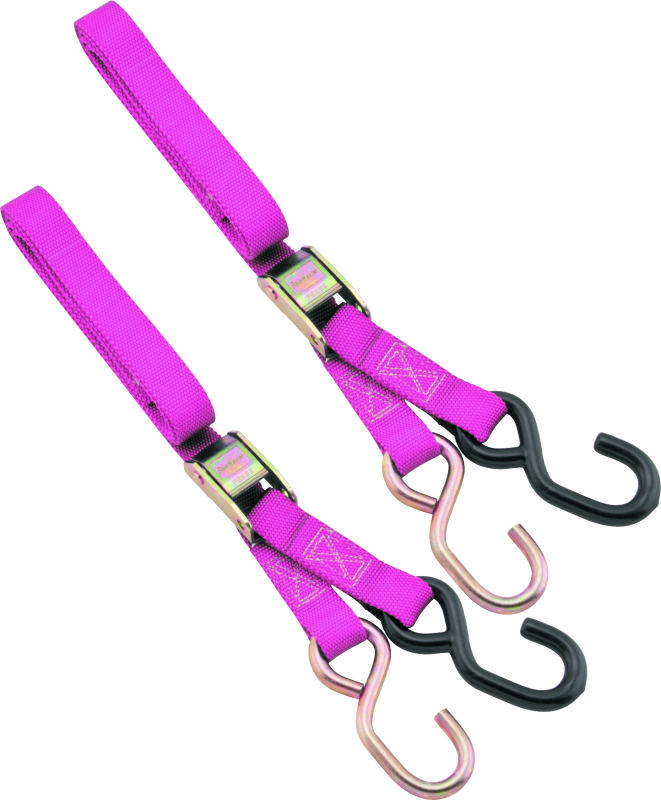 BikeMaster 1in Tiedown - Pink - Striker Modified