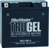 BikeMaster Trugel Battery MG14B-4 - Striker Modified