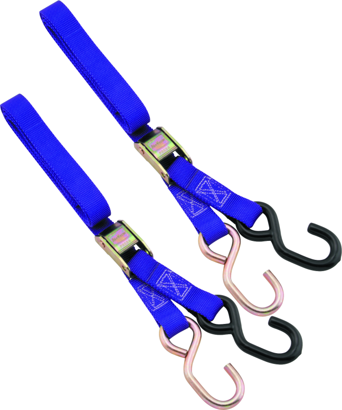 BikeMaster 1in Tiedown - Purple - Striker Modified