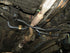 Progress Tech 91-94 Nissan Sentra Front Sway Bar w/ Adj. End Links (30 mm - Adjustable) - Striker Modified