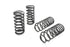 Eibach Pro-Kit for 82-92 F-Body Camaro & Firebird All V8 Models - Striker Modified