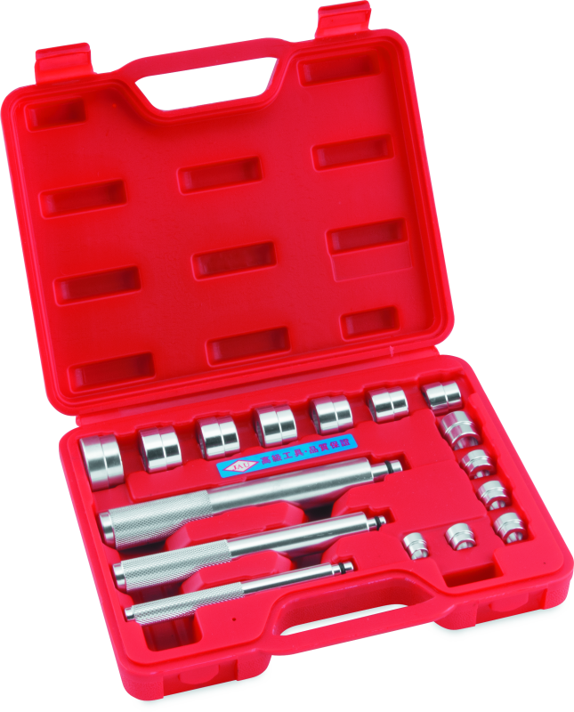 BikeMaster 16pc Bearing Race/Seal Driver Set - Striker Modified