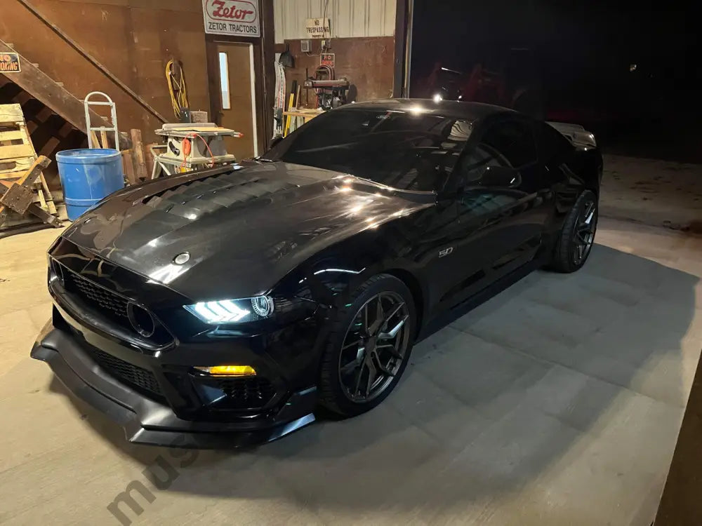 Mustang Gt500 hood