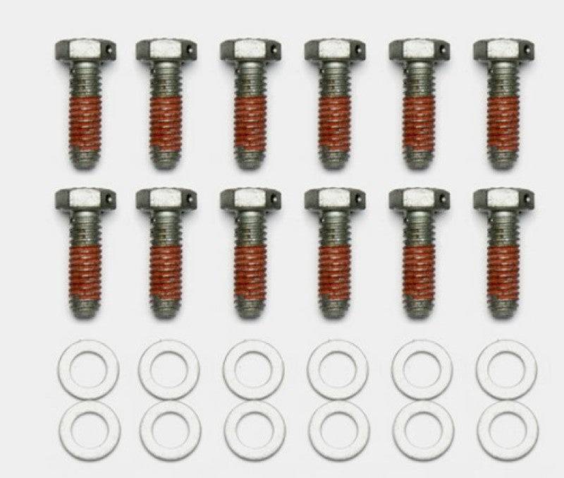 Wilwood Bolt Kit - 5/16-18 x 1.00 LG - 12 pk - Striker Modified