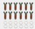 Wilwood Bolt Kit - 5/16-18 x 1.00 LG - 12 pk - Striker Modified