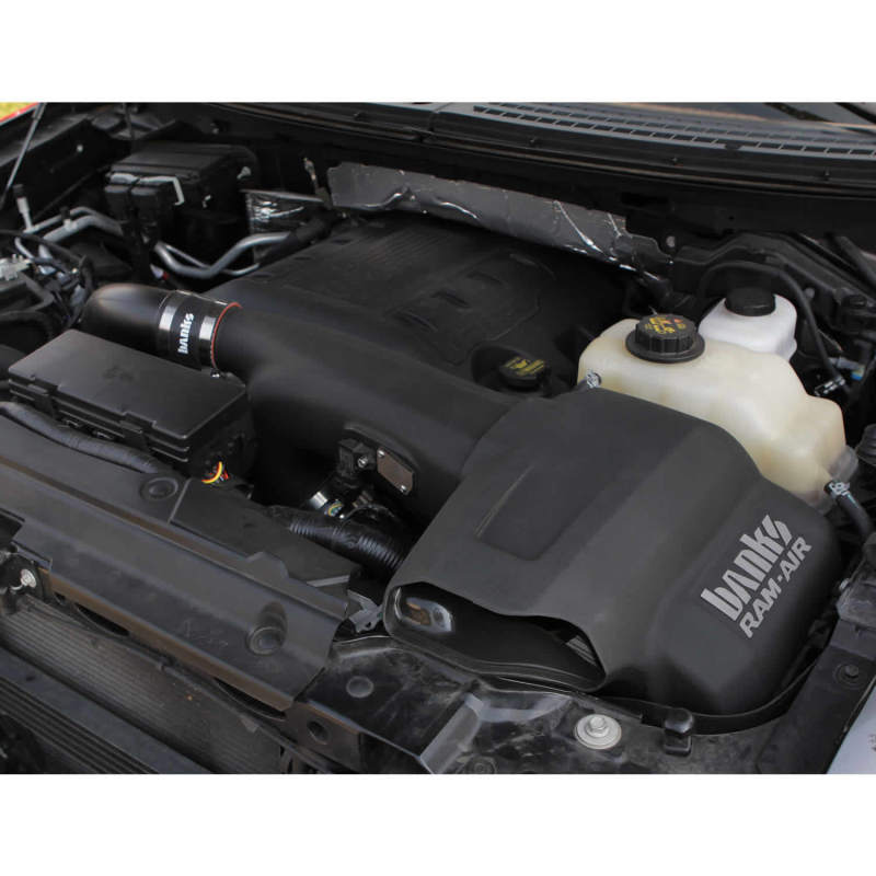 Banks Power 11-14 Ford F-150 3.5L EcoBoost Ram-Air Intake System - Dry Filter - Striker Modified
