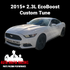 Mafia 2015+ 2.3L EcoBoost Mustang Custom Tune - Striker Modified