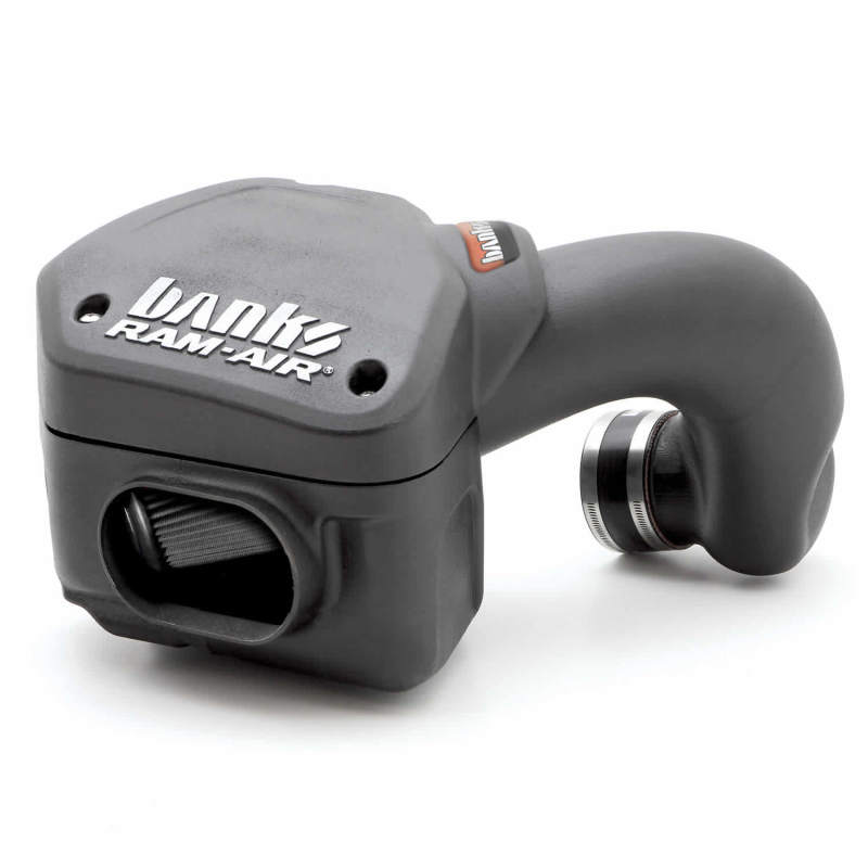 Banks Power 94-02 Dodge 5.9L Ram-Air Intake System - Dry Filter - Striker Modified