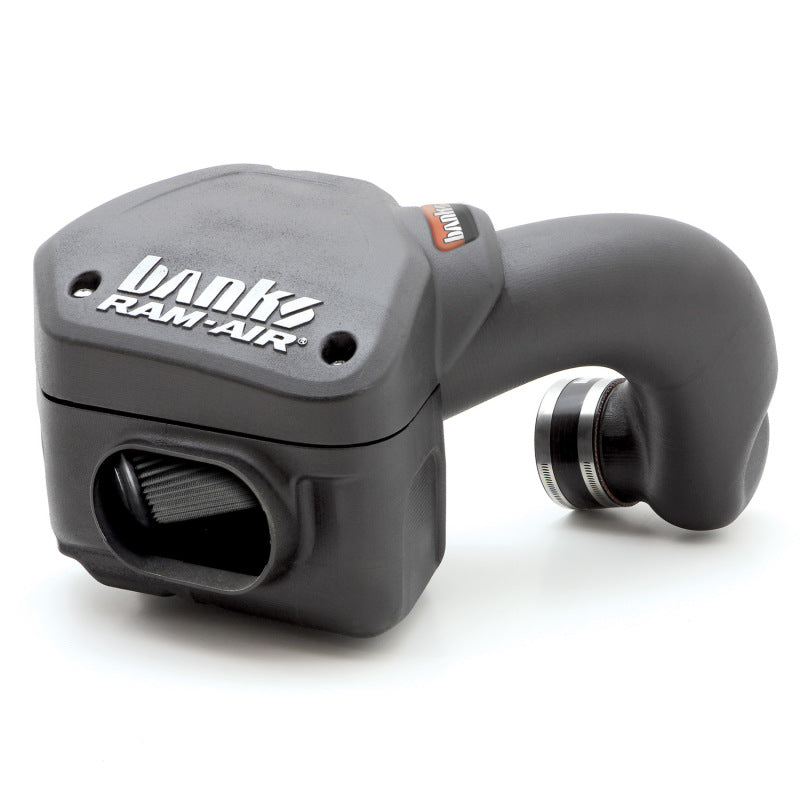 Banks Power 94-02 Dodge 5.9L Ram-Air Intake System - Dry Filter - Striker Modified