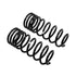 ARB / OME Coil Spring Rear 80 Hd Low - Striker Modified