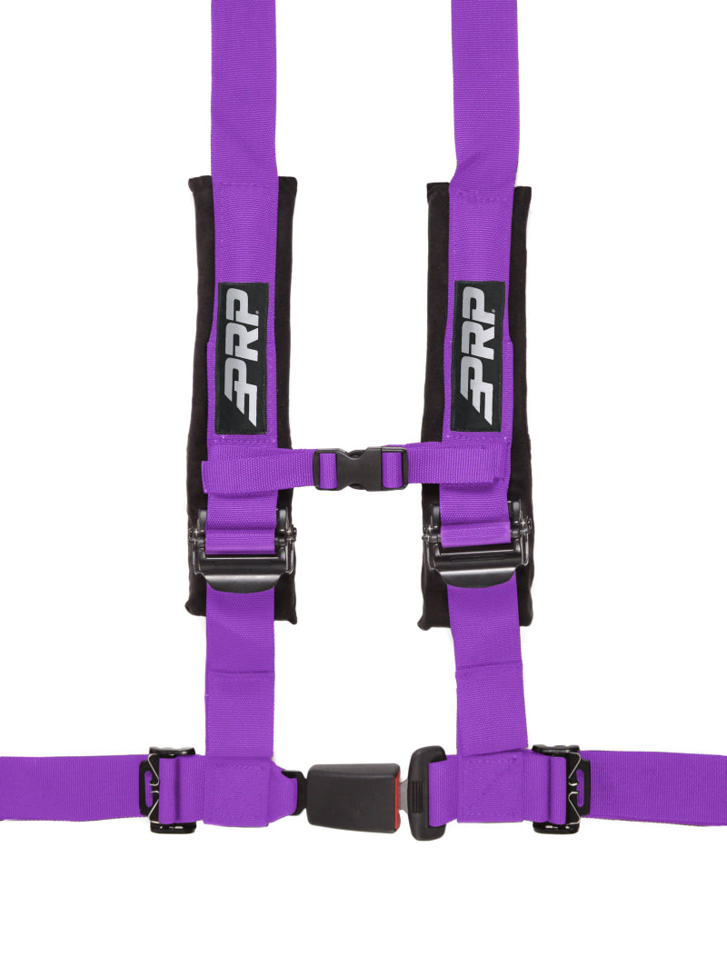 PRP 4.2 Harness- Purple - Striker Modified