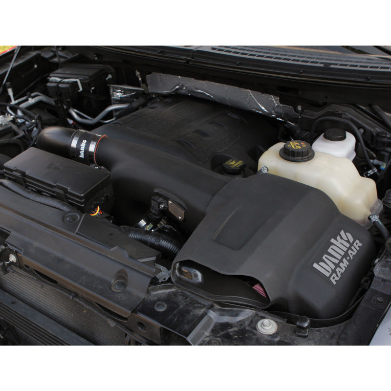 Banks Power 11-14 Ford F-150 3.5L EcoBoost Ram-Air Intake System - Striker Modified