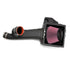 Banks Power 11-14 Ford F-150 3.5L EcoBoost Ram-Air Intake System - Striker Modified