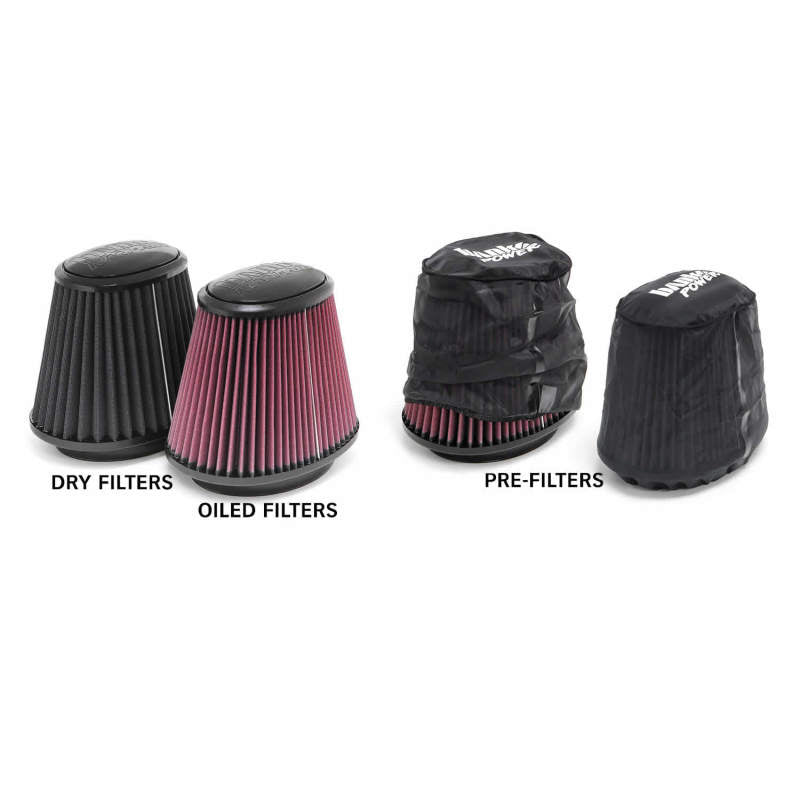 Banks Power 94-02 Dodge 5.9L Ram-Air Intake System - Dry Filter - Striker Modified