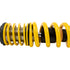 Belltech COILOVER KIT 04-07 COLORADO/CANYON - Striker Modified