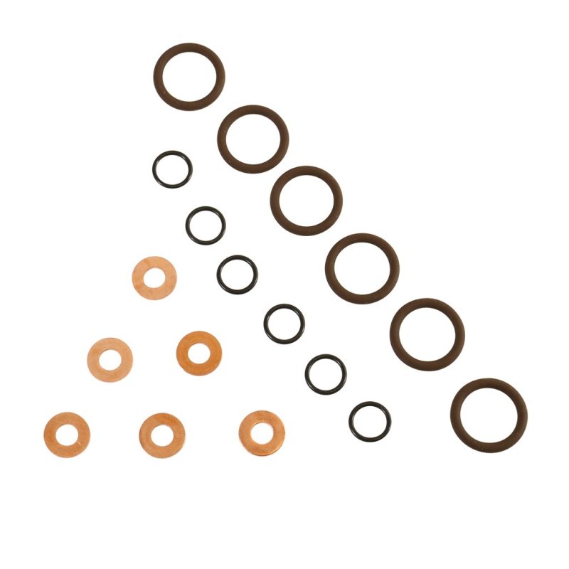 BD Diesel ISB Injector Seal Kit - Dodge 1998.5-2002 5.9L 24-valve - Striker Modified