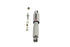 Belltech SHOCK ABSORBER STREET PERFORMANCE (230383) - Striker Modified