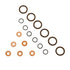 BD Diesel ISB Injector Seal Kit - Dodge 1998.5-2002 5.9L 24-valve - Striker Modified